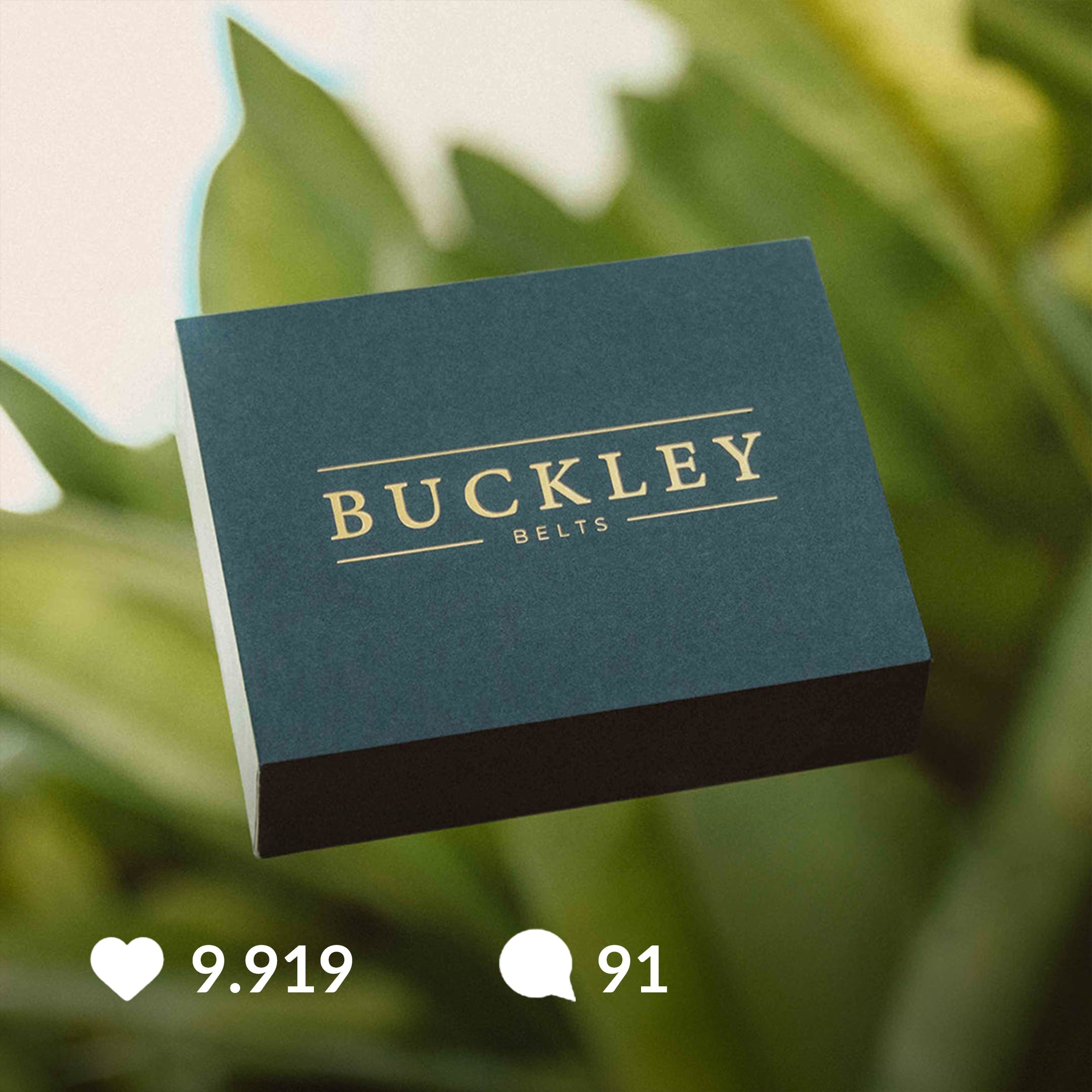 the_buckley_belt